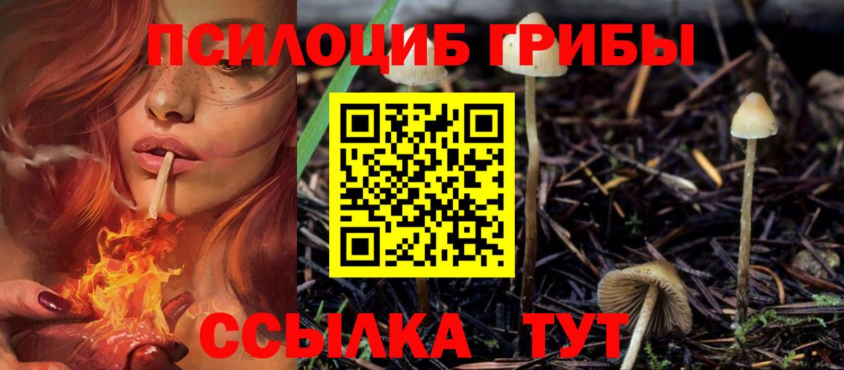 Галлюциногенные грибы Cubensis  Вход с VPN  Одинцово 